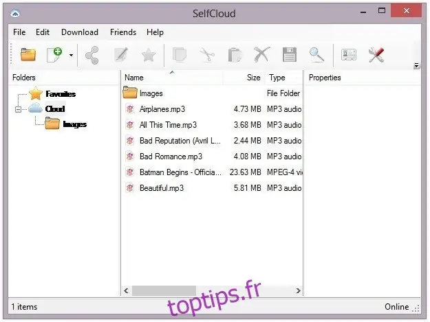 SelfCloud-Windows