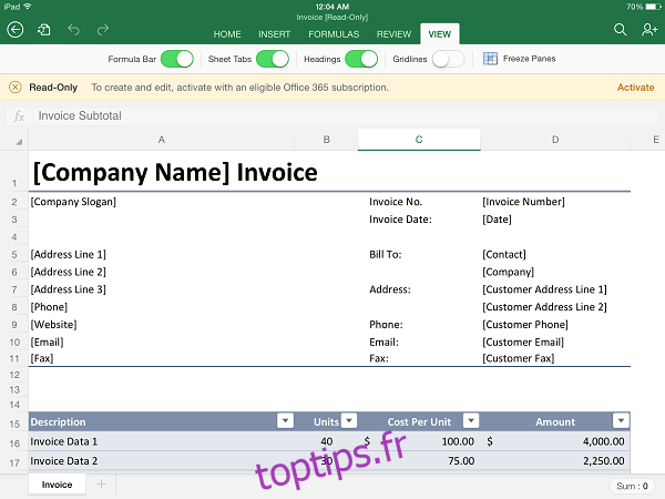 Microsoft Excel pour iPad (2)