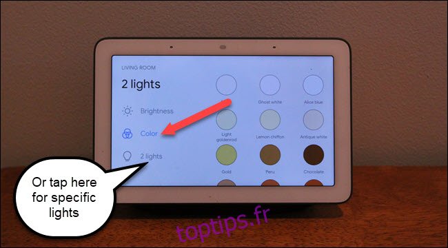 Lumières de salon Google Home Hub avec appel aux couleurs et options de 2 lumières