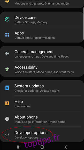 Une capture d'écran de la page des paramètres Android avec les options de développement maintenant disponibles