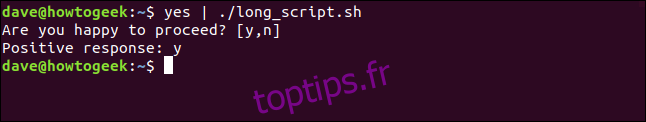 piping yes dans long_script.sh dans une fenêtre de terminal