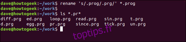 renommer 's / .prog / .prg /' * .prog dans une fenêtre de terminal