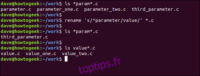 renommer 's / ^ paramètre / valeur /' * .c dans une fenêtre de terminal