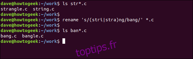 renommer 's / (stri | stra) ng / bang /' * .c dans une fenêtre de terminal