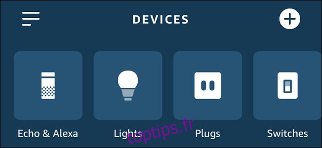 Application Alexa affichant les lumières, les prises et les interrupteurs.
