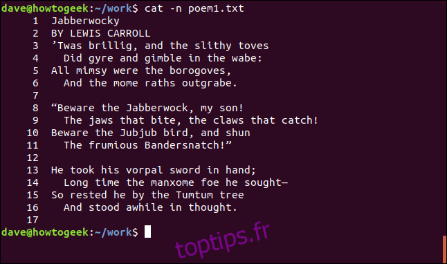 contenu de poem1.txt avec des lignes numérotées dans une fenêtre de terminal