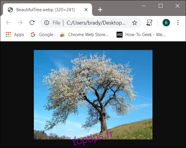 L'image WebP s'ouvre directement à l'intérieur de Chrome lorsque vous cliquez dessus