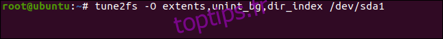 tune2fs -O extents, uninit_bg, dir_index / dev / sda1 dans une fenêtre de terminal