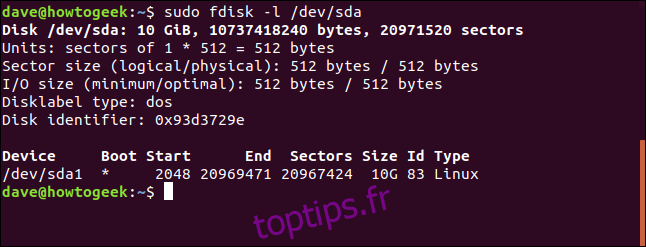 output of fdisk in a terminal window