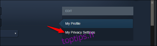 Ouverture des paramètres de confidentialité du profil dans Steam