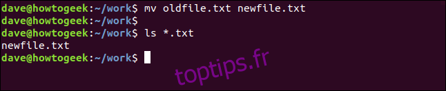 mv oldfile.txt newfile.txt dans une fenêtre de terminal