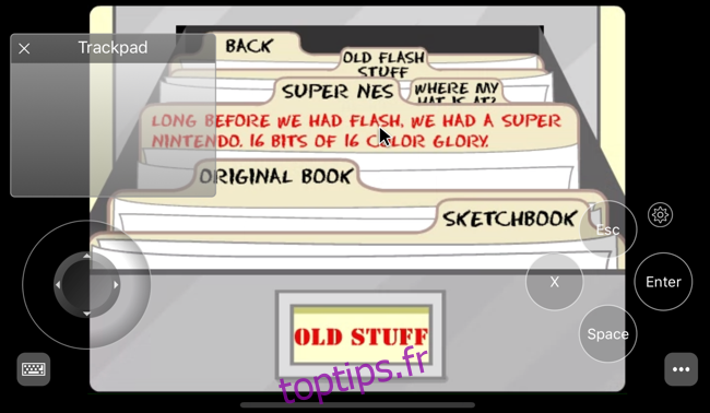 Trackpad et Gamepad affichés superposés sur Flash Player