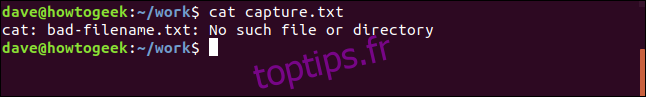 contenu du fichier capture.txt dans une fenêtre de terminal