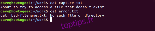 contenu de capture.txt et error.txt dans une fenêtre de terminal