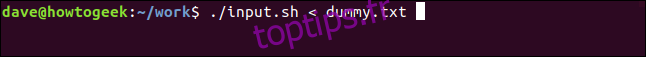 ./input.sh <dummy.txt dans une fenêtre de terminal