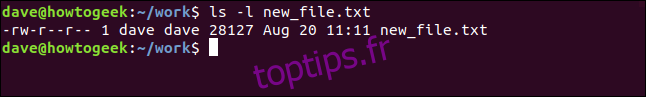 ls -l nouveau_fichier.txt dans une fenêtre de terminal