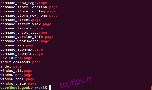 liste des fichiers de page dans une fenêtre de terminal