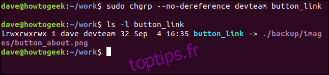 sudo chgrp --no-dereference devteam button_link dans une fenêtre de terminal