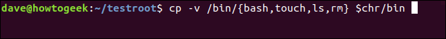 cp -v / bin / {bash, touch, ls, rm} $ chr dans une fenêtre de terminal