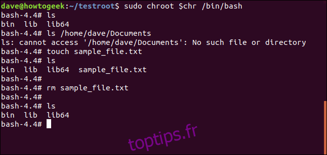 touchez sample_file.txt dans une fenêtre de terminal
