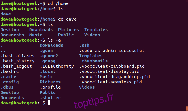cd / home et d'autres commandes pour tester le répertoire / home dans une fenêtre de terminal
