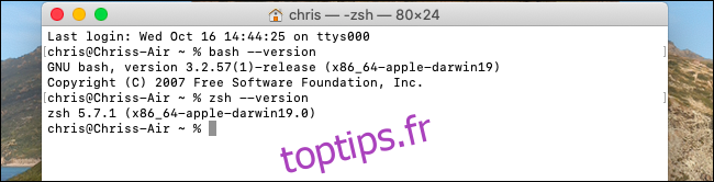 Affichage des versions de Bash et Zsh sur macOS Catalina.