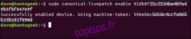 Message de vérification activé par Livepatch dans une fenêtre de terminal