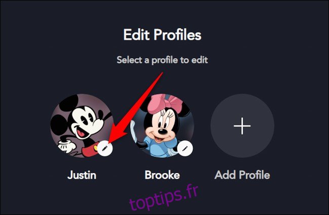 Profil Disney + sur le Web Select