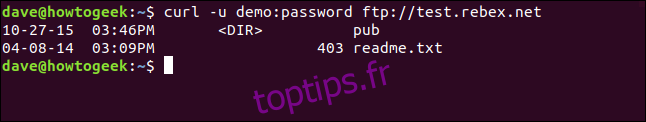 Liste des fichiers sur un serveur FTP remtoe dans une fenêtre de terminal