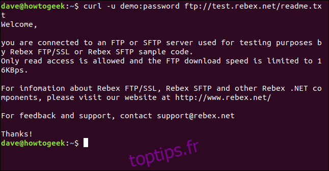 Le contenu d'un fichier récupéré sur un serveur FTP affiché dans une fenêtre de terminal