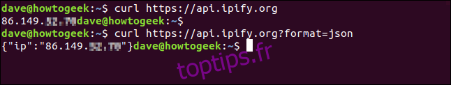curl https://api.ipify.org dans une fenêtre de terminal