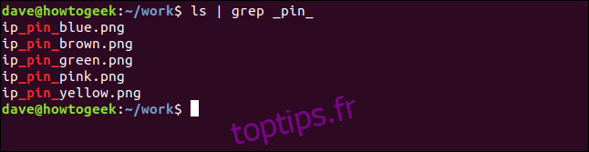 ls | grep _pin_ dans une fenêtre de terminal
