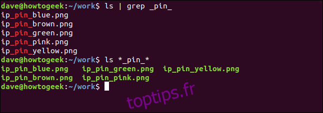 ls | grep _pin_ dans une fenêtre de terminal