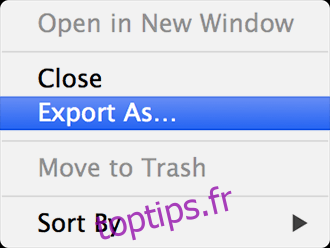 Modification des icônes - Exporter sous