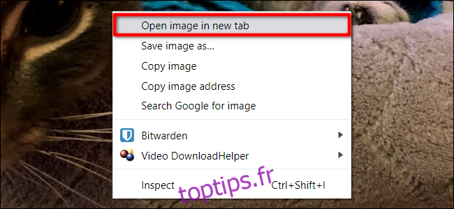 Chrome Ouvrir l'image dans un nouvel onglet