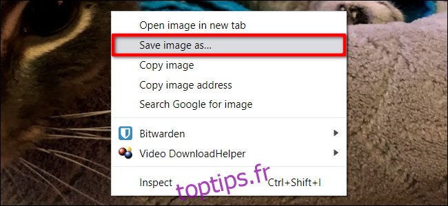 Chrome Enregistrer l'image sous