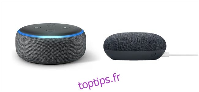 Un Echo de 3e génération avec anneau lumineux bleu, à côté d'un Google Nest Mini avec cordon d'alimentation blanc.