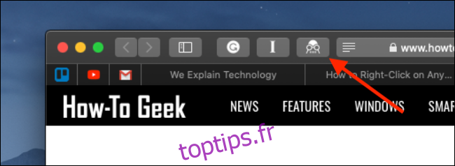 Cliquez sur l'icône de l'extension Dark Reader dans la barre d'outils Safari