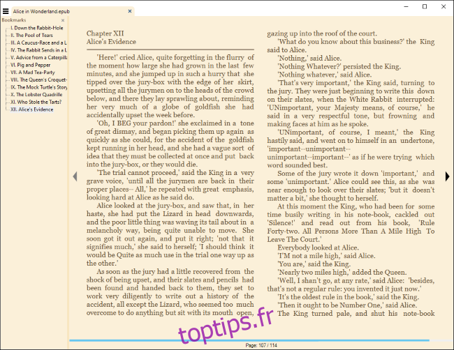 Lire un eBook dans Sumatra PDF pour Windows.