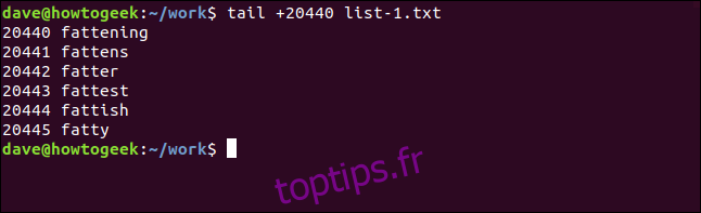 tail +20440 list-1.txt dans une fenêtre de terminal