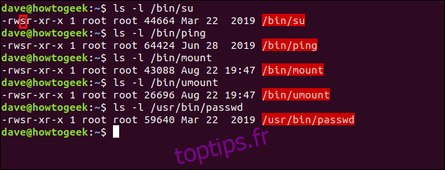 Une liste de commandes Linux dont le bit SUID est défini dans une fenêtre de terminal.