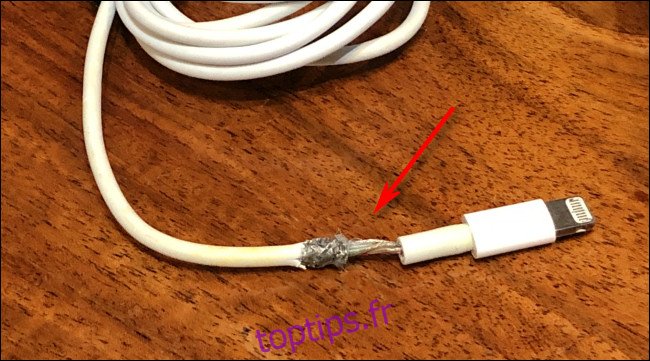 Câble Apple Lightning effiloché