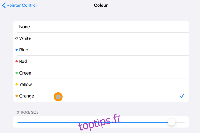 Option de couleur et de trait pour le curseur sur iPad