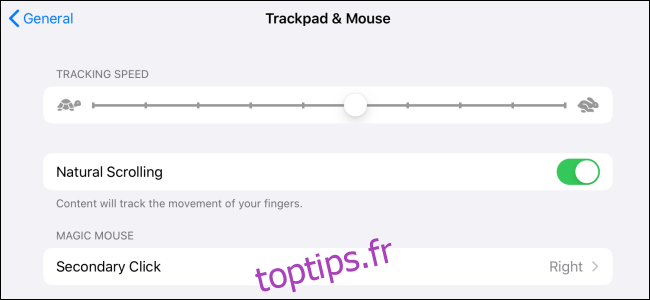 Personnalisation de la souris dans iPadOS