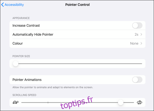 Options de contrôle du pointeur pour le curseur sur iPad