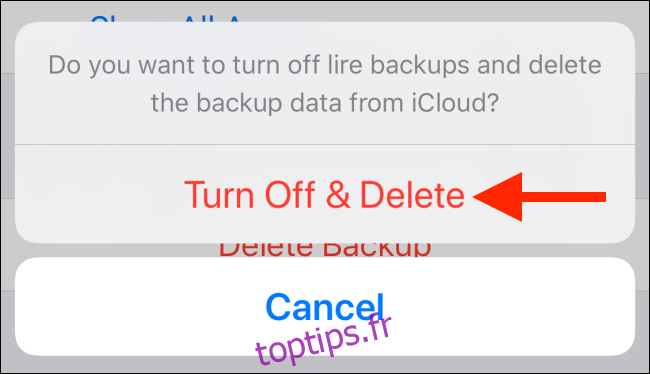 Appuyez sur Désactiver et supprimer pour supprimer la sauvegarde de l'application dans iCloud