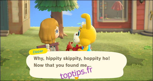 Animal Crossing New Horizons Zipper T Bunny