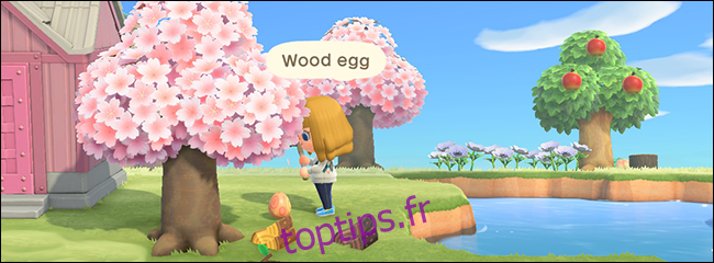 Animal Crossing New Horizons Bunny Day oeuf en bois
