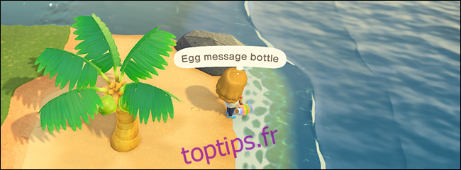 Bouteille à message d'oeuf Animal Crossing New Horizons