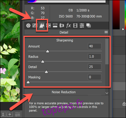 Les options de netteté d'une image dans les options de Camera Raw dans Photoshop